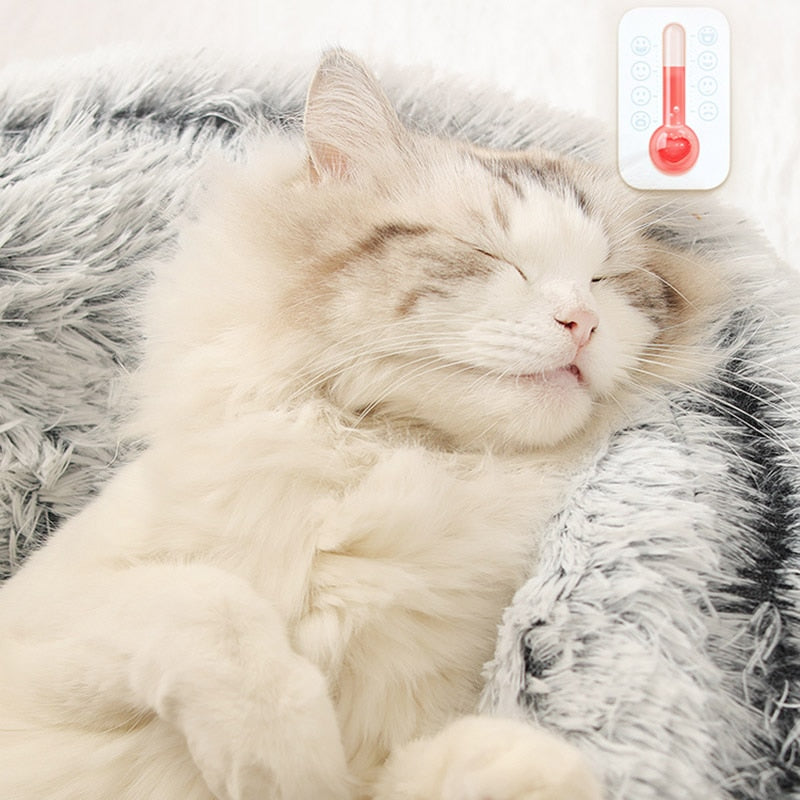 CozyCave 2-in-1 Pet Bed
