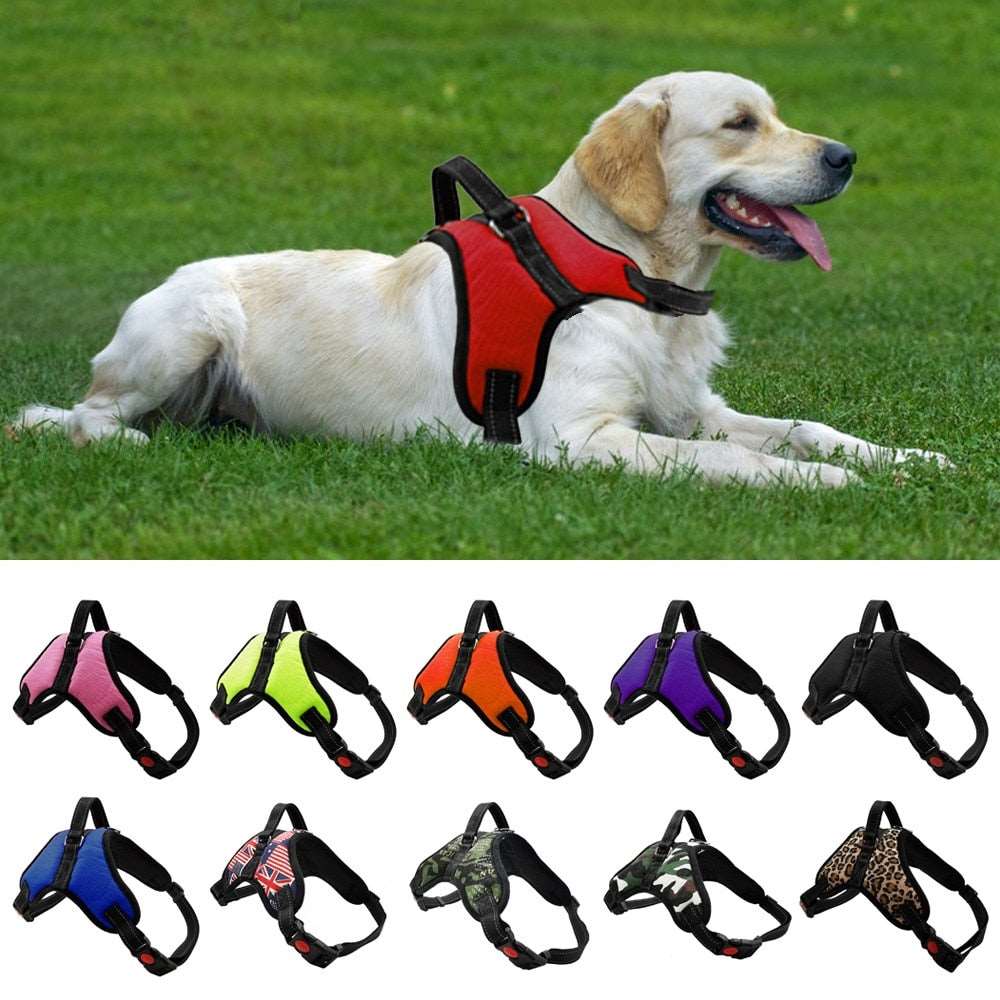 Harness With Leash - Adjustable Harness | The Pets Beat