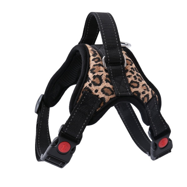 Harness With Leash - Adjustable Harness | The Pets Beat
