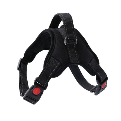 Harness With Leash - Adjustable Harness | The Pets Beat