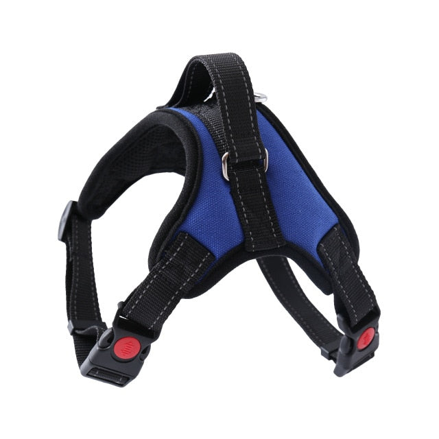 Harness With Leash - Adjustable Harness | The Pets Beat