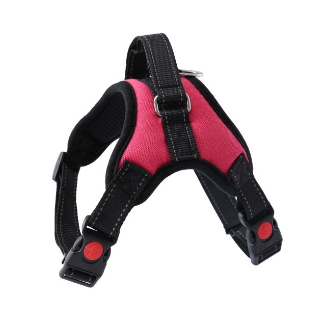 Harness With Leash - Adjustable Harness | The Pets Beat