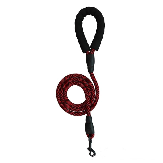 Harness With Leash - Adjustable Harness | The Pets Beat