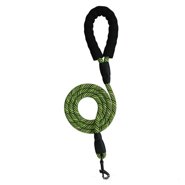 Harness With Leash - Adjustable Harness | The Pets Beat
