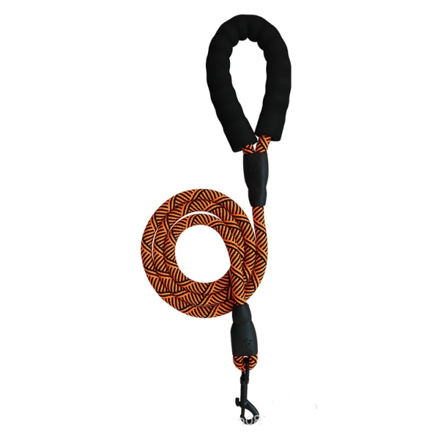 Harness With Leash - Adjustable Harness | The Pets Beat