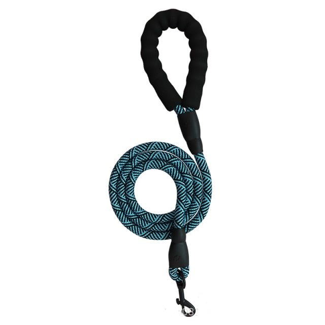 Harness With Leash - Adjustable Harness | The Pets Beat