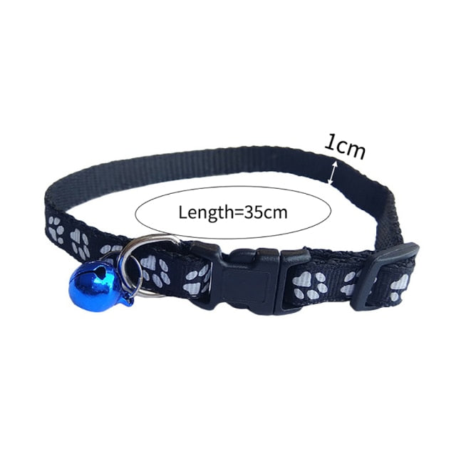 Durable Dog Leash | Dog Leashes | The Pets Beat